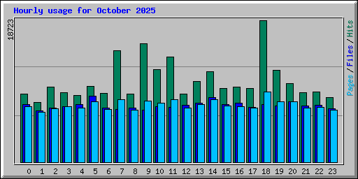 Hourly usage for October 2025