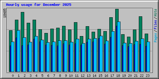 Hourly usage for December 2025