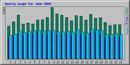 Hourly usage for June 2026