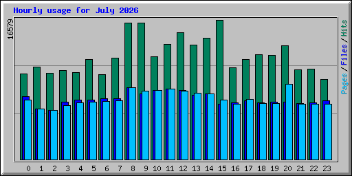 Hourly usage for July 2026